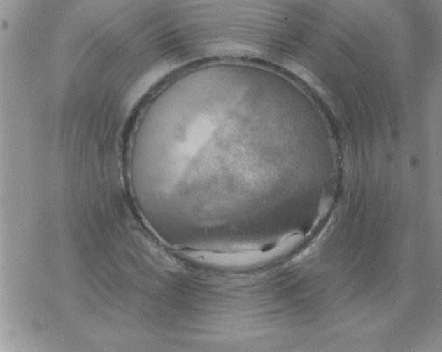 X0000075891022200610062047