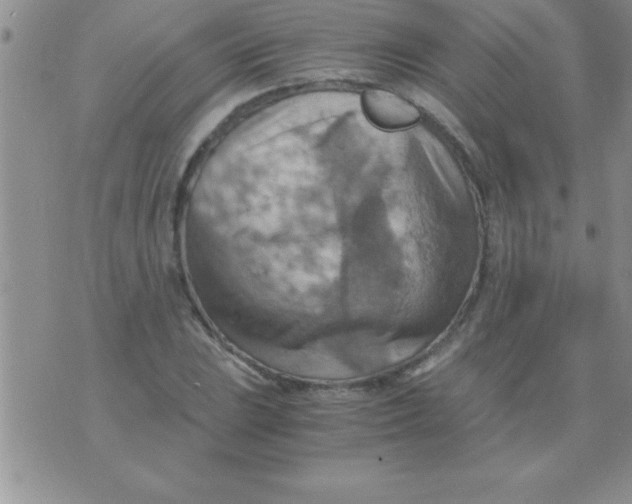 X0000075891023200610062047