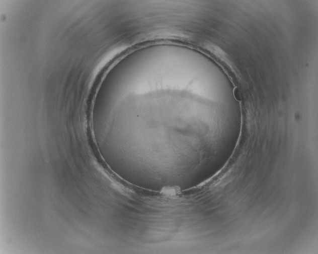 X0000075891024200610062047