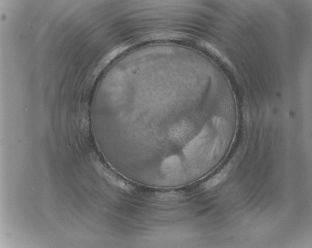 X0000075891025200610062047