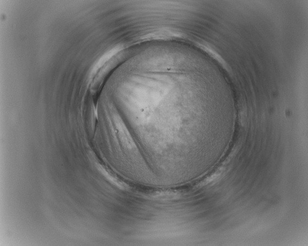 X0000075891026200610062047