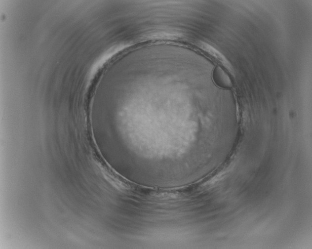 X0000075891027200610062047