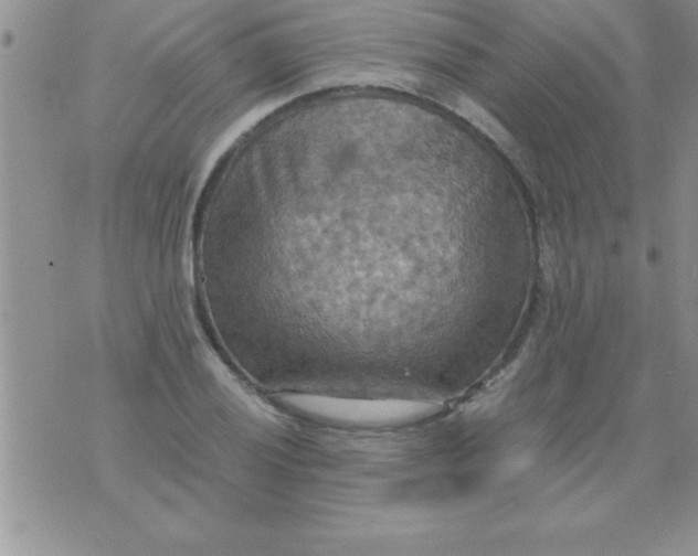 X0000075891028200610062047