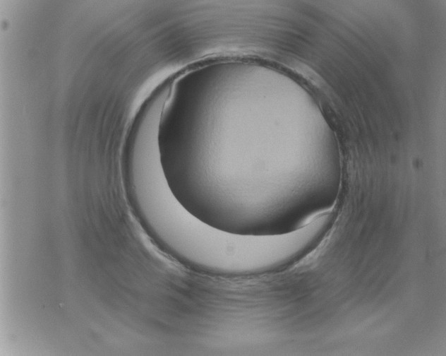 X0000075891030200610062047