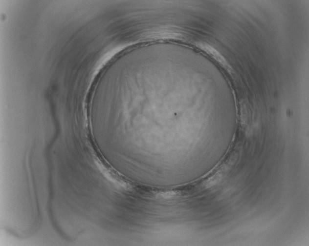 X0000075891031200610062047