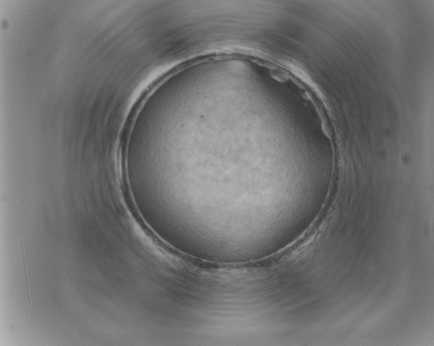 X0000075891032200610062047