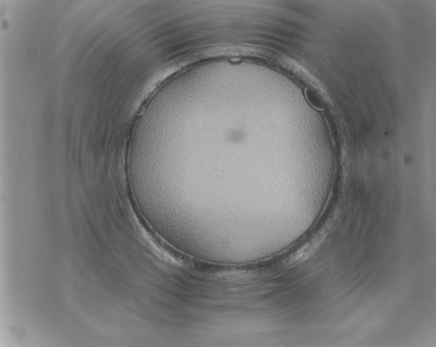 X0000075891033200610062047