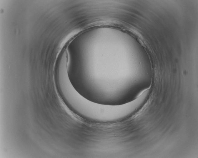 X0000075891034200610062048