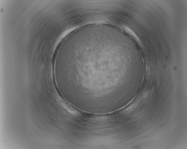 X0000075891035200610062048