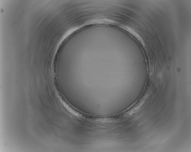 X0000075891037200610062048