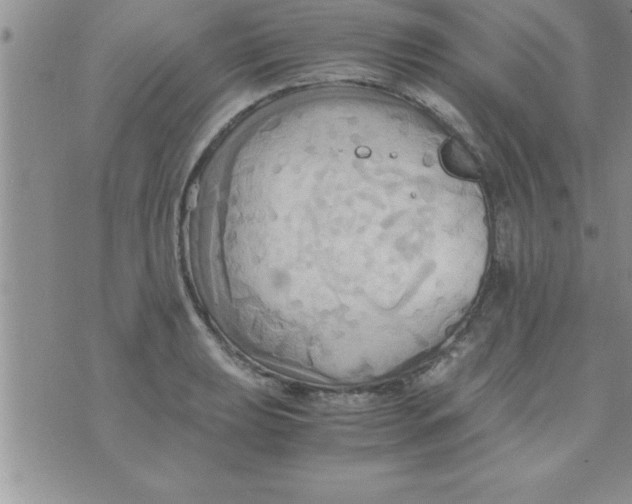 X0000075891039200610062048