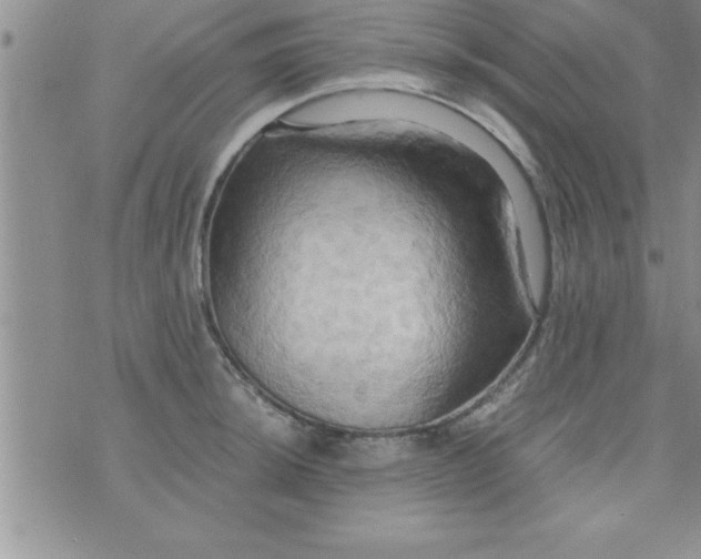 X0000075891044200610062048