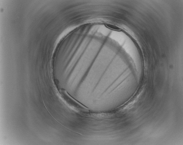 X0000075891045200610062048