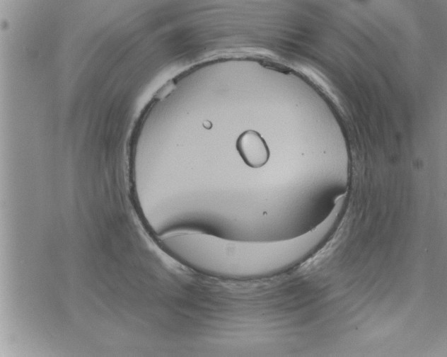 X0000075891046200610062048