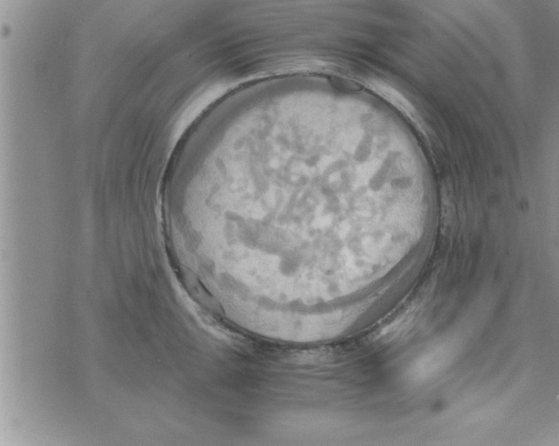 X0000075891047200610062048