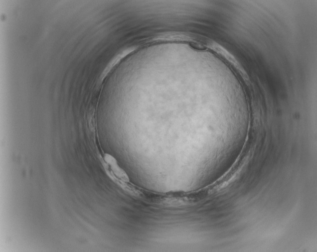 X0000075891049200610062048