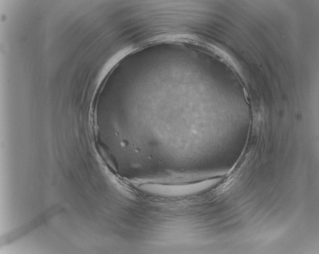 X0000075891050200610062048