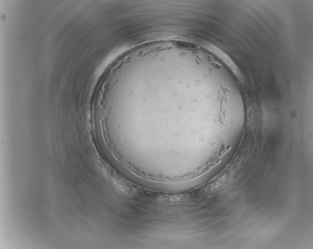 X0000075891051200610062048