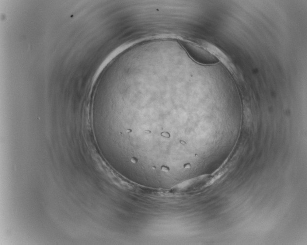 X0000075891052200610062048