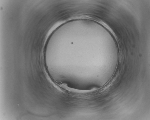 X0000075891053200610062048