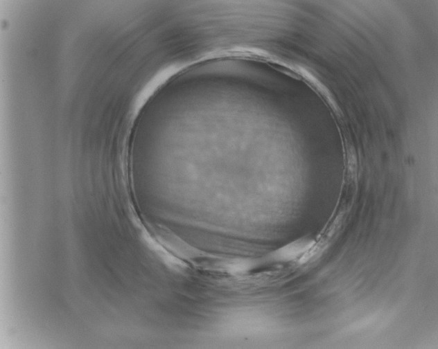 X0000075891054200610062048