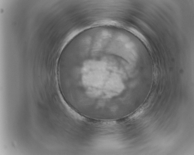 X0000075891055200610062048