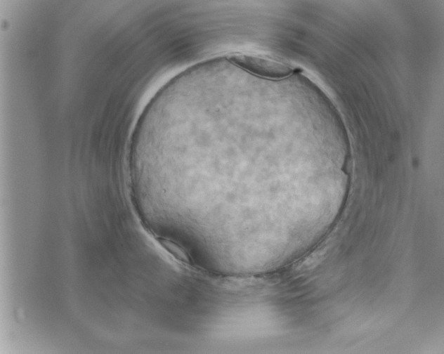 X0000075891056200610062048