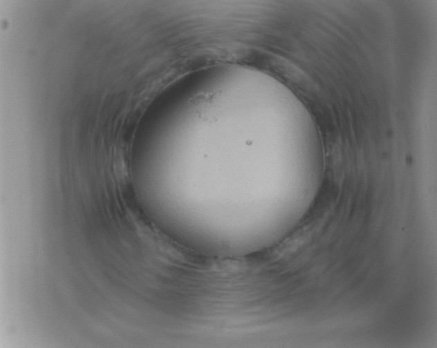 X0000075891058200610062047