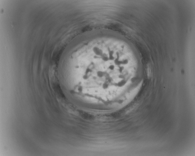 X0000075891059200610062047