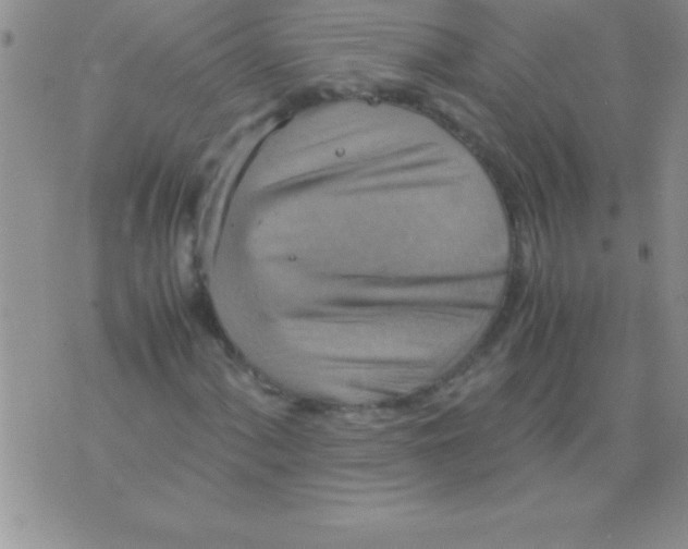 X0000075891060200610062047