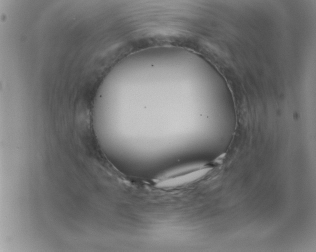 X0000075891061200610062047