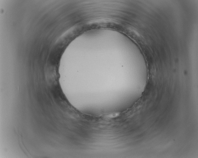 X0000075891062200610062047