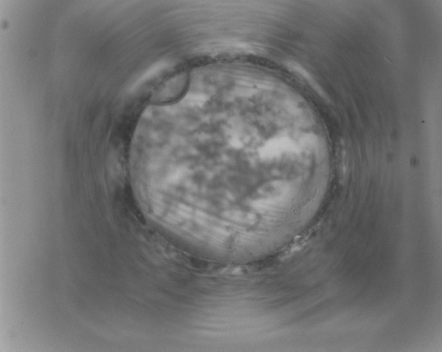 X0000075891063200610062047