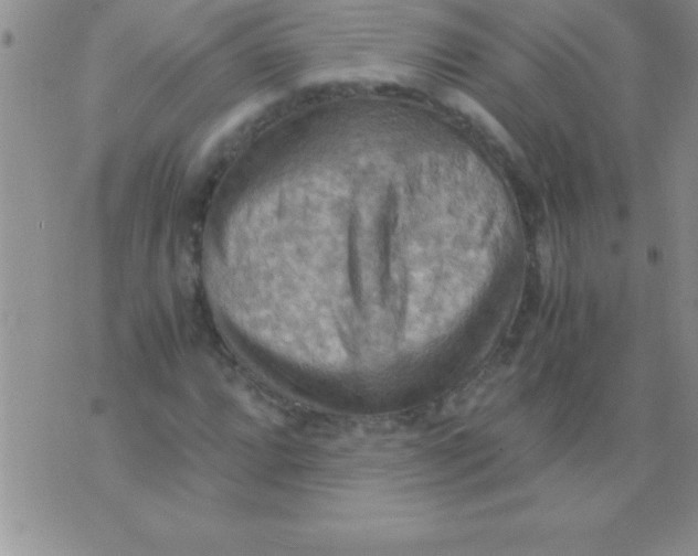 X0000075891064200610062047