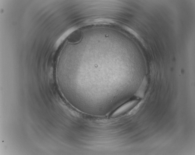 X0000075891066200610062047