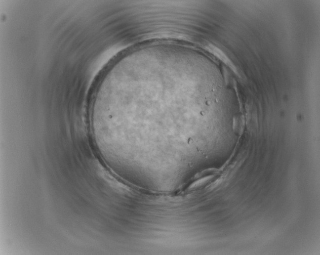 X0000075891068200610062047