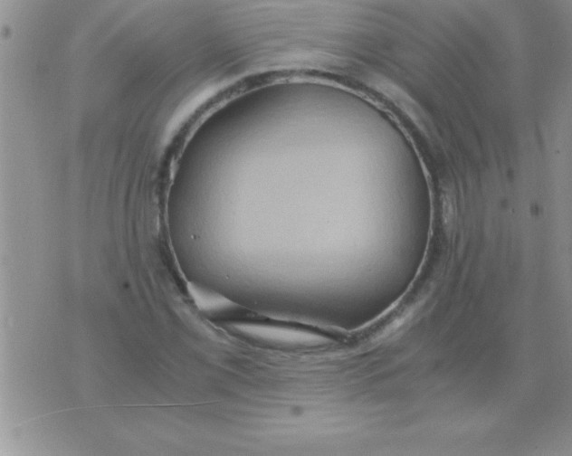 X0000075891069200610062047