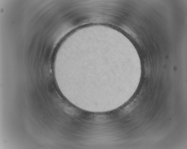 X0000075891070200610062047