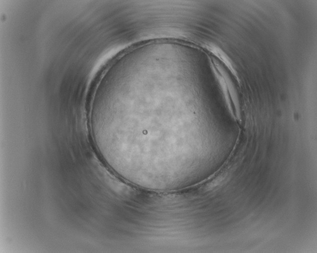 X0000075891072200610062047