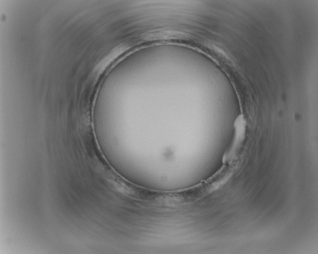 X0000075891073200610062047