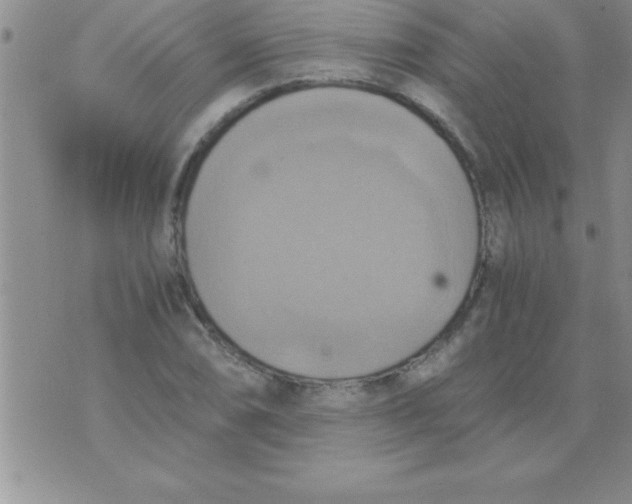 X0000075891074200610062047