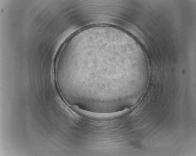 X0000075891076200610062047