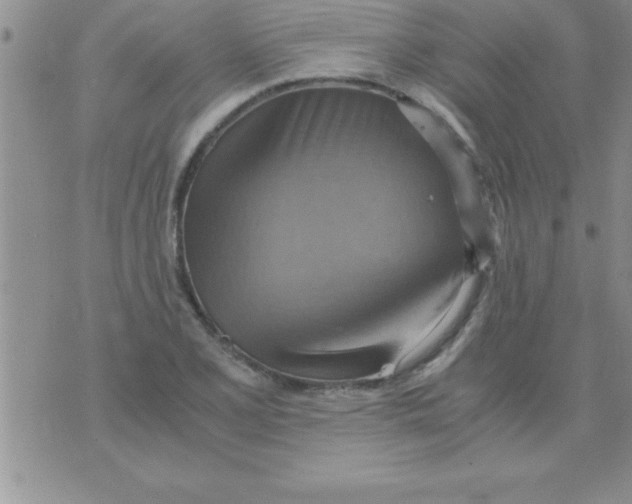 X0000075891077200610062047