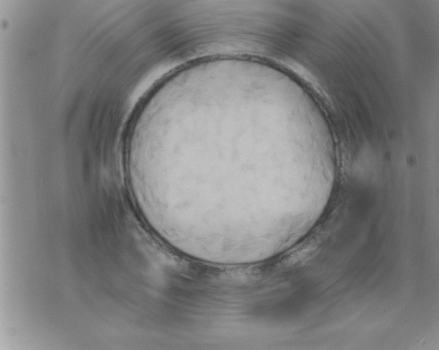 X0000075891078200610062047