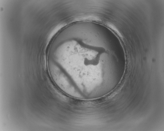 X0000075891079200610062047