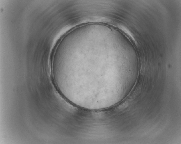 X0000075891080200610062047