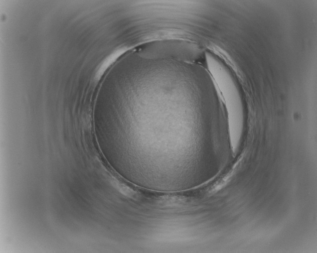 X0000075891081200610062047