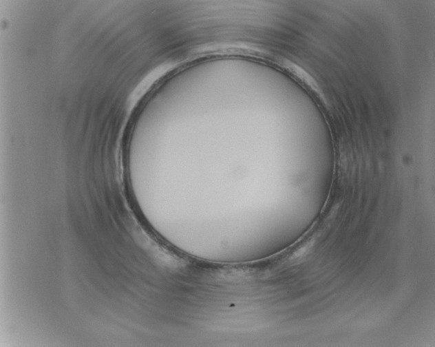 X0000075891082200610062047