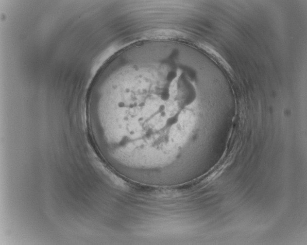 X0000075891083200610062047