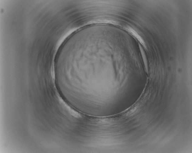 X0000075891084200610062047